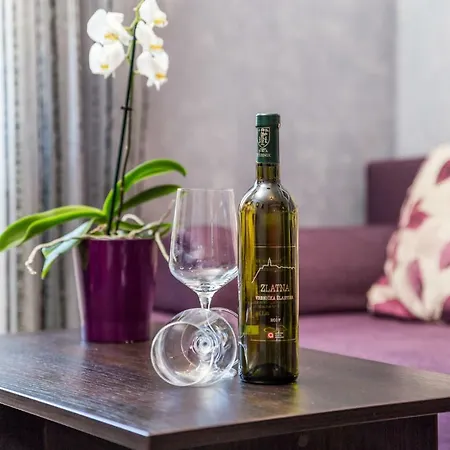 Apartment Paulina Rijeka